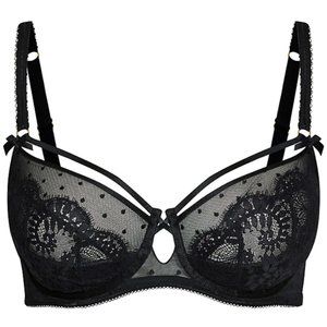 Fox & Royal Clementine Bra